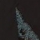 Argento